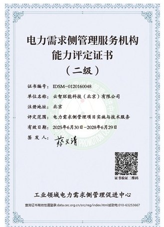 Level-2 Power Demand-Side Management Service Institution