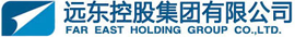 Far East Holding Group